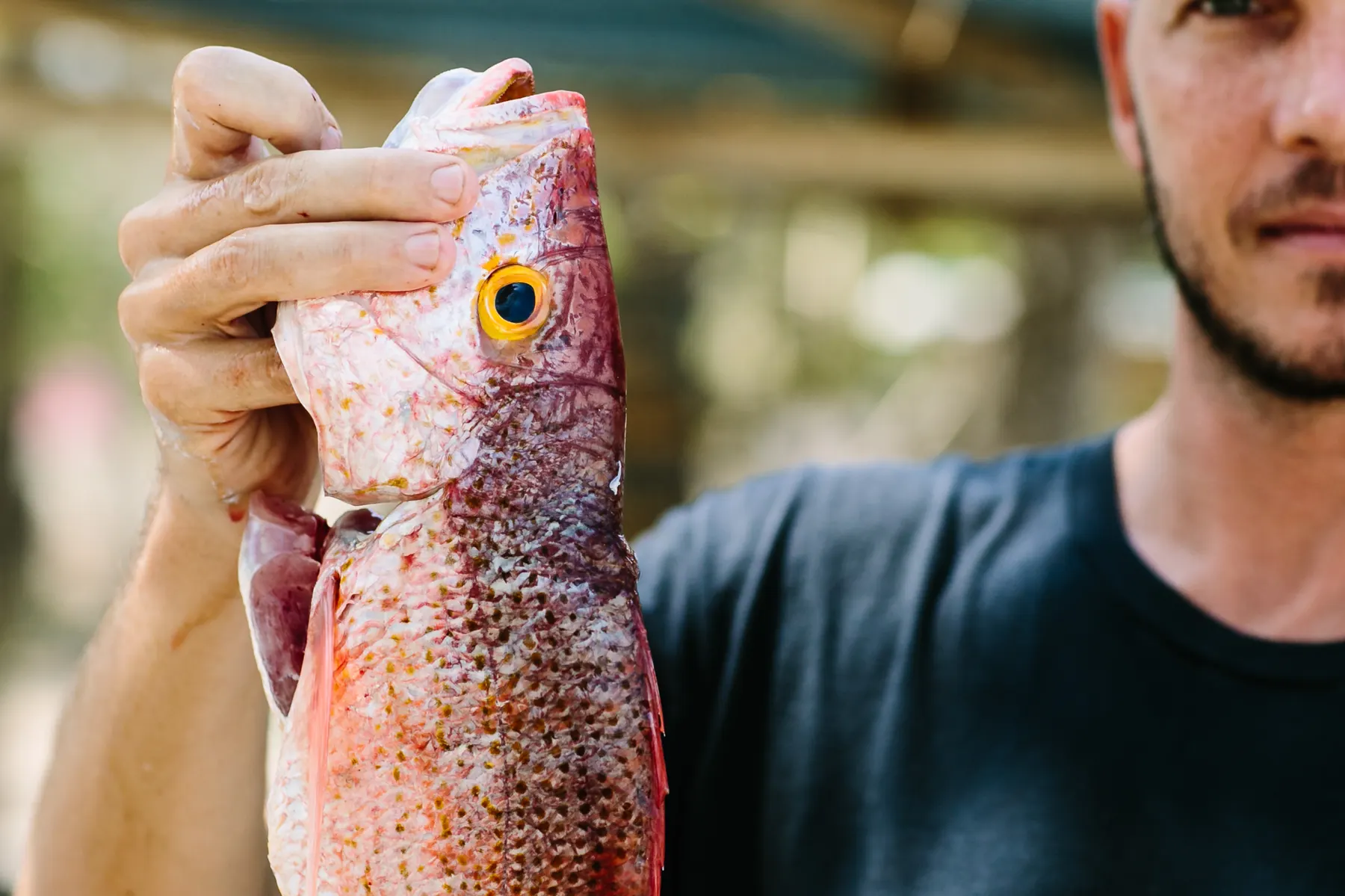Chef James Kelly holding up a whole red snapper, fresh from the boat