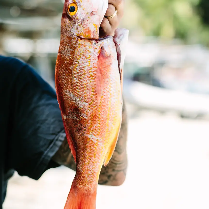 A whole red snapper held up by the gill, scales still wet